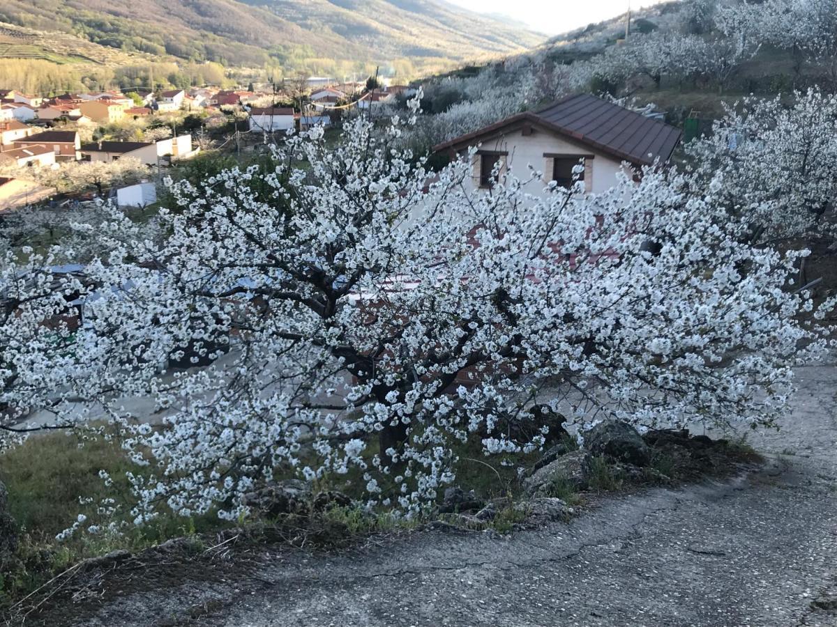 La Gargantilla Херте Экстерьер фото