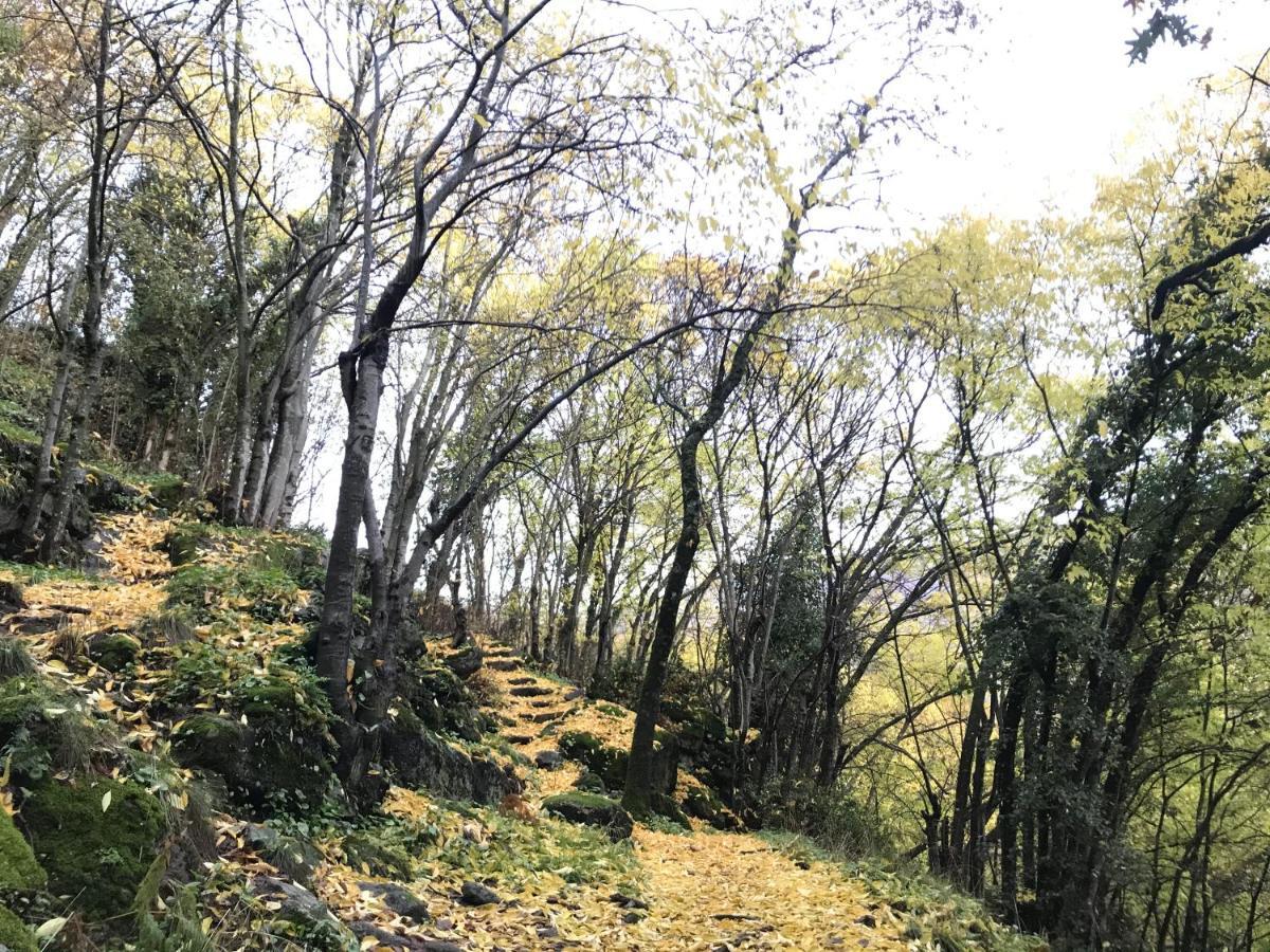 La Gargantilla Херте Экстерьер фото